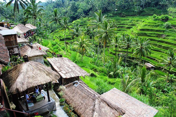 Charter Standard Vehicle with Driver at Bali- 5 Hours Usage - How the 5-Hour Charter Works (and why that start time matters)