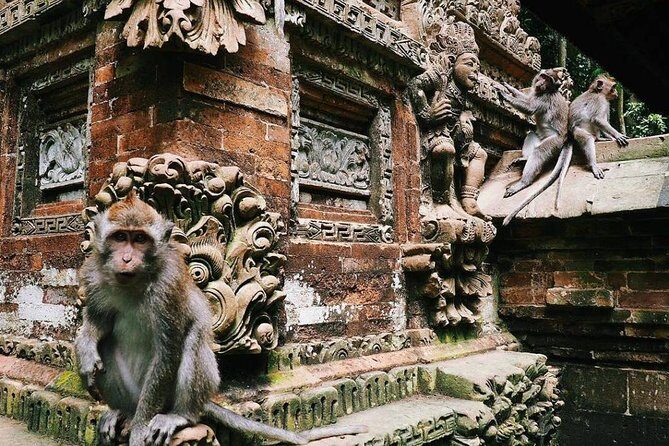 Charter Standard Vehicle with Driver at Bali- 5 Hours Usage - Pickup comfort: free hotel pickup areas you can actually use