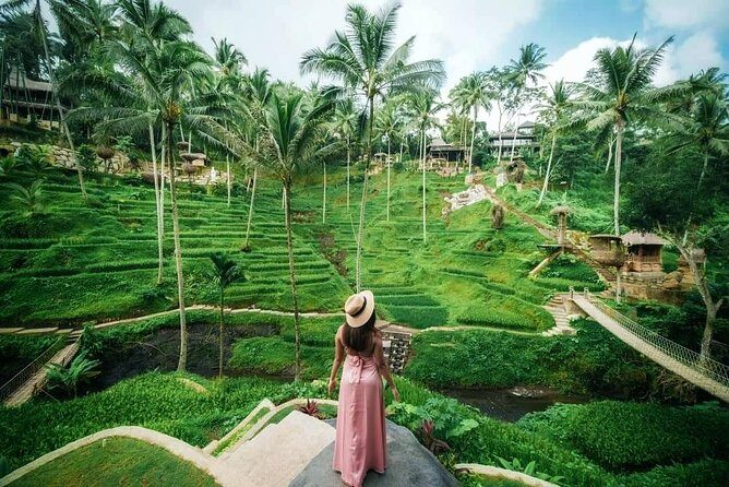 Cretya Ubud and Monkey Forest Sanctuary Tours - Sacred Monkey Forest Sanctuary: see macaques up close (and stay smart)