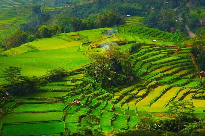 Cunca Wulang Waterfall & Rangko Cave – Full Day Nature Escape - Lunch in a Panoramic Break: Fuel Without Killing the Vibe