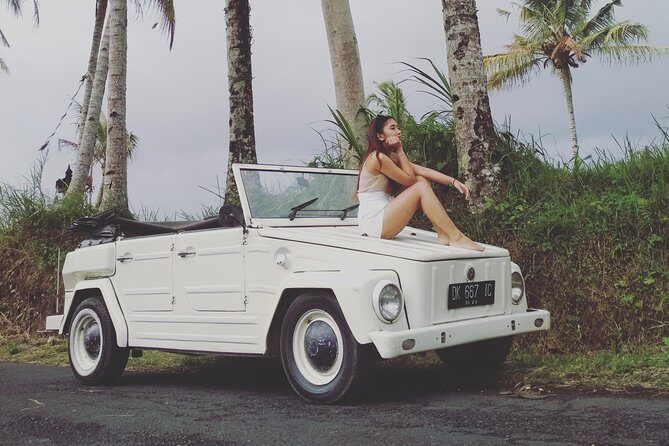 Daily VW Tour - Ubud VW Tour - Key Highlights You’ll Actually Care About