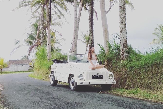 Daily VW Tour - Ubud VW Tour - Should You Book This Ubud VW Tour?