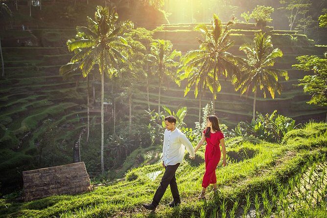 Day Trip: Ubud Monkey Forest, Rice Terrace, Temple and Waterfall - Stop 2: Sacred Monkey Forest Sanctuary (temples in the canopy)