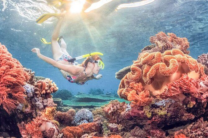 Discover East Bali: Snorkeling Blue lagoon & Instagramable Spots - Lempuyang Temple: the Gate of Heaven and Mount Agung views