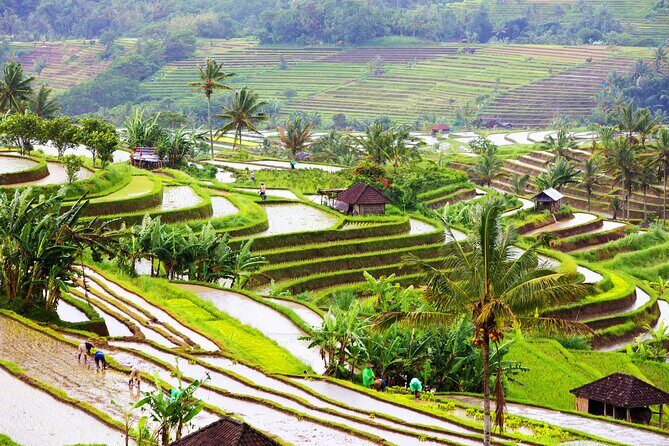 Discover Hidden Waterfall, Unesco Rice Terraces and Mountain Temple - Lunch and water: built-in comfort for an 8-hour countryside day
