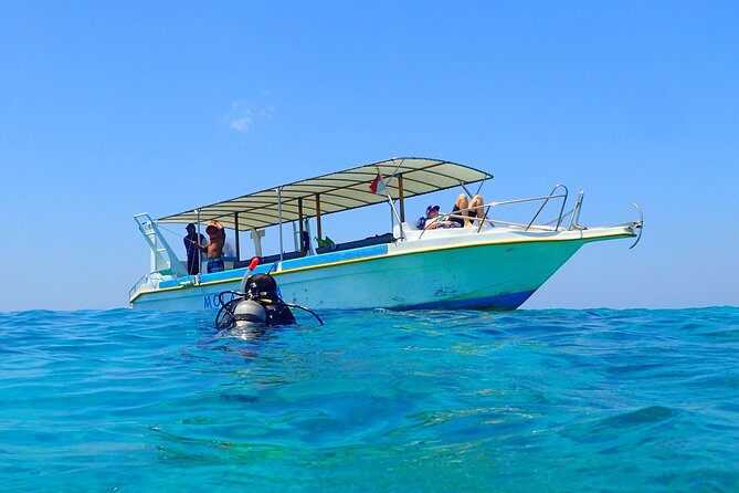Discover Scuba Diving and dive in Menjangan Island Marine Park 2 dives - Discover Scuba training: theory and pool session options that fit real life