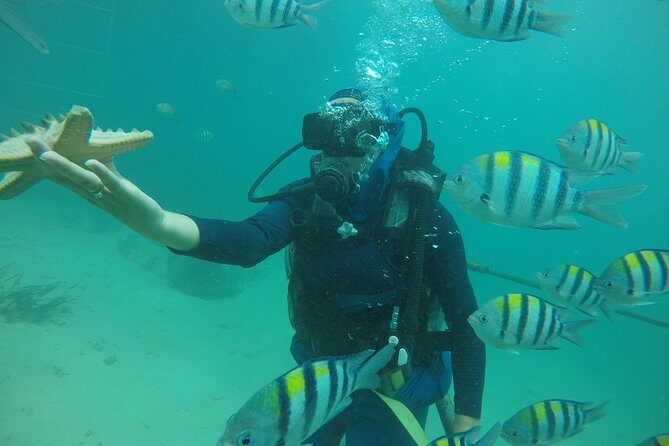 Discover Scuba Diving ( beginners) Combined With Jet Ski - Nusa Dua and Tanjung Benoa: an easy ocean day for first-timers