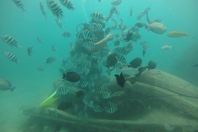 Discover Scuba Diving ( beginners) Combined With Jet Ski - The beginner scuba session: what happens before you’re in the water