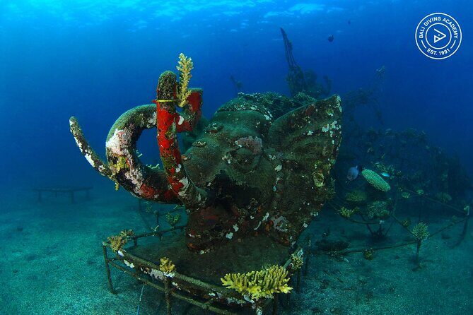 Discover Scuba Diving in Pemuteran at the Biorock site,1 shore dive all included - Menjangan Island Stop: A Nice Add-On, But Watch the Marine Park Fee