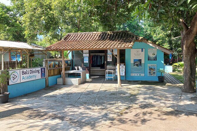 Discover Scuba Diving in Pemuteran at the Biorock site,1 shore dive all included - Tips to Plan So Your First Underwater Try Feels Smooth