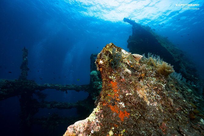 Discover Scuba Diving in Tulamben - Diving Initiation in Bali best diving sites - Price and logistics: why $89.40 can be a good deal