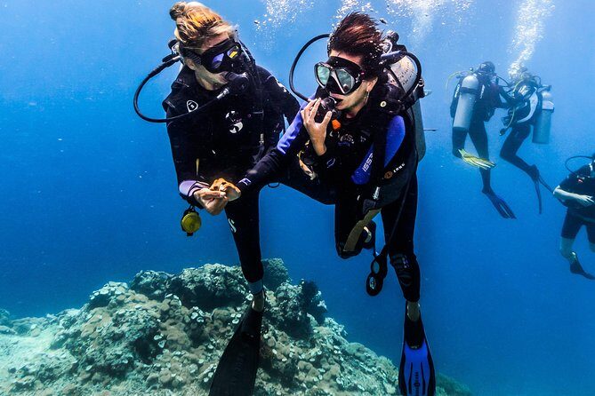 Discover Scuba Diving in Tulamben - Diving Initiation in Bali best diving sites - The 7-hour flow: how your morning stays manageable