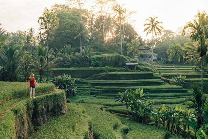 Discover The Best North of Bali with Private Guide Tour - Key reasons this private north-Bali loop is worth your time