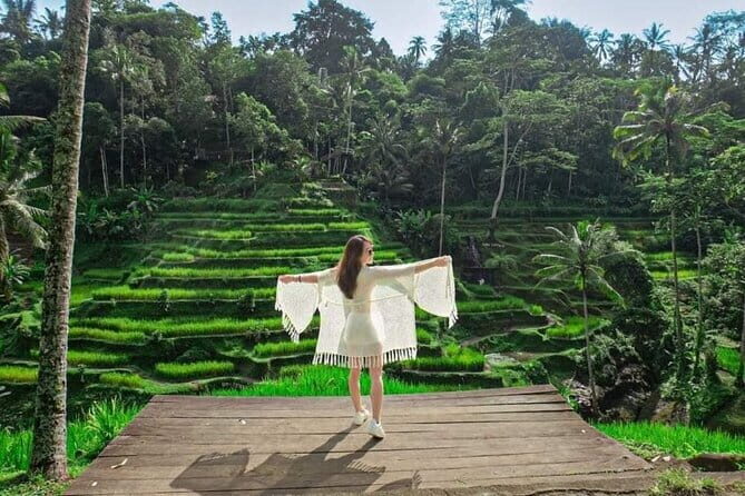 Discover The Best North of Bali with Private Guide Tour - Timing, comfort, and what to plan for in an 8 to 9 hour day