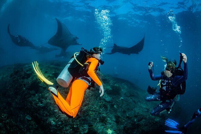 Diving in Nusa Penida - Key highlights at a glance
