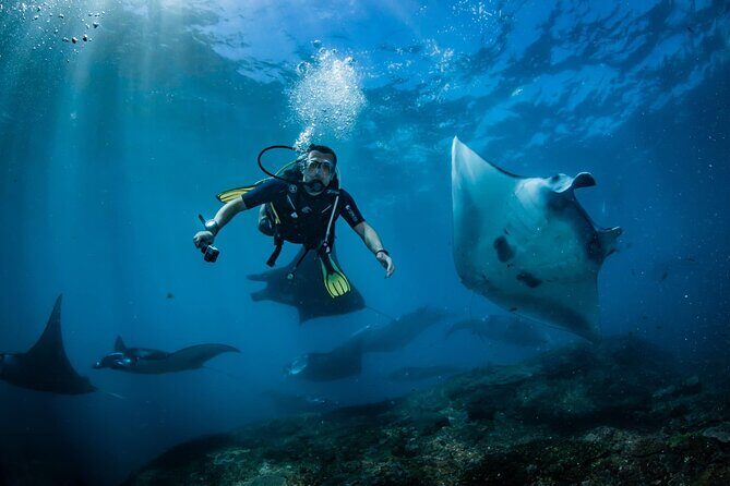 Diving in Nusa Penida - Where you start: Sanctum Dive meet-up and the timing that matters