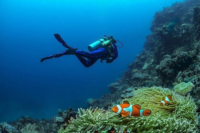 Diving in Nusa Penida - Who this experience fits best (and who might want a different option)