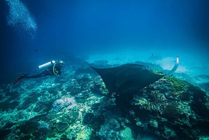 Diving in Nusa Penida - The training part: what pool time actually does for you