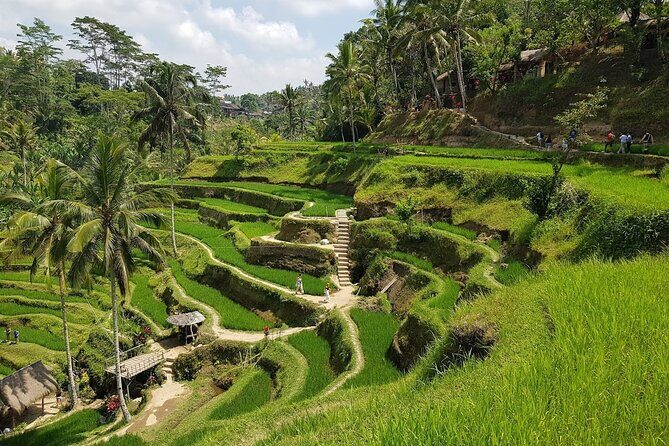 East of Bali Tour with Lempuyang Temple, Waterfall, Tirta gangga - Price and value: why $63 can make sense on a private day