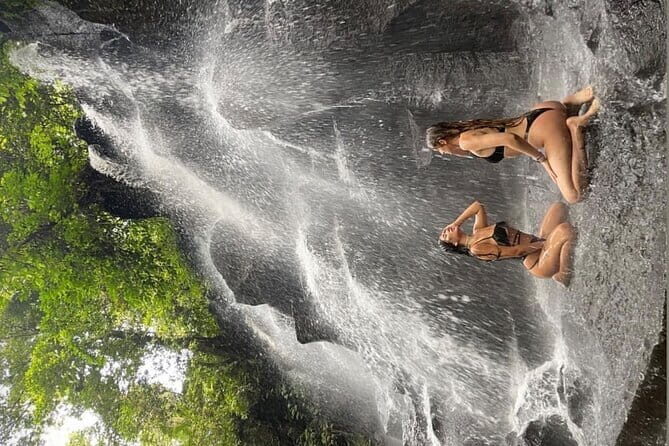 Eastern Bali and Besakih Temple Tour - Price and logistics: where the $80 value really comes from