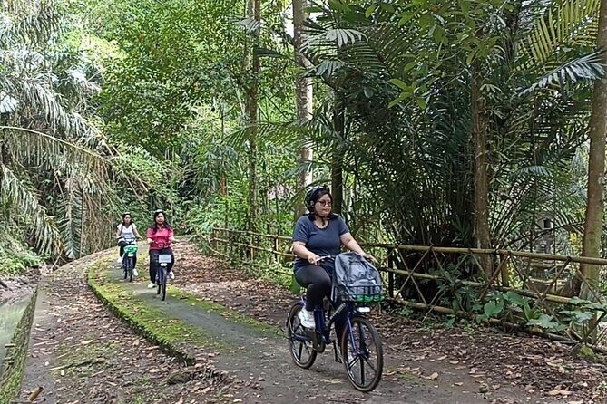 Electric bicycle tour in quaint South Ubud - Quick Hits Before You Ride