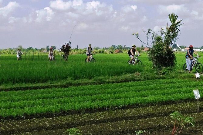 Electric bicycle tour in quaint South Ubud - Stop in Mambal: Rice and Farm Crops in the Quiet Part of Ubud