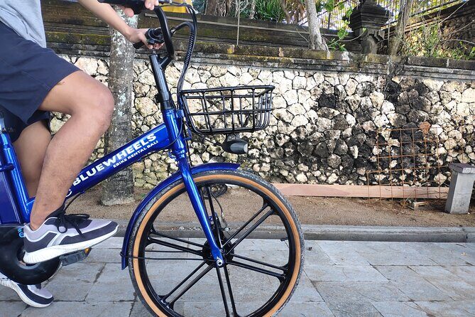 Electric bicycle tour in quaint South Ubud - South Ubud by E-Bike: What the Ride Feels Like