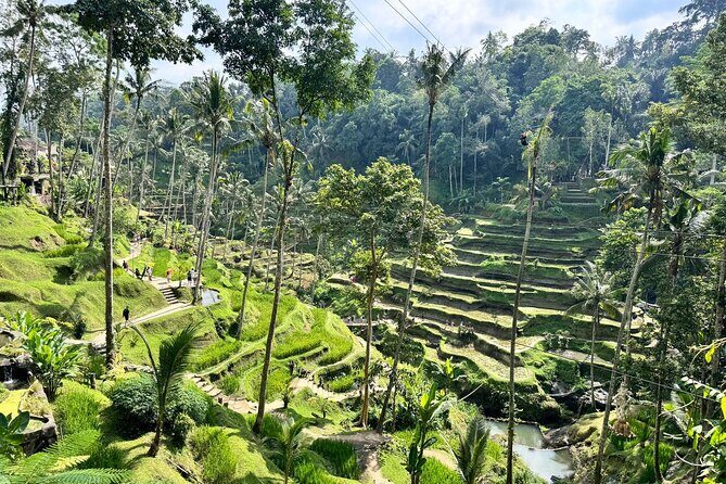 Exclusive Ubud Experience: Nature, Culture & Adventure in One Day - Sacred Monkey Forest Sanctuary: close encounters, so keep your head