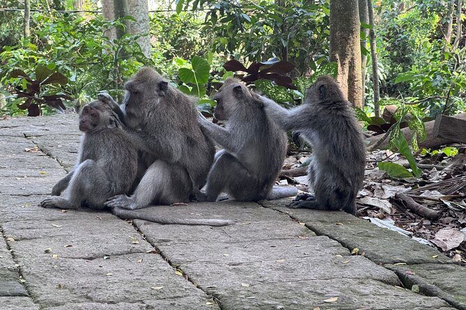 Exclusive Ubud Experience: Nature, Culture & Adventure in One Day - Price and value: what $70 buys on a day with multiple paid sites