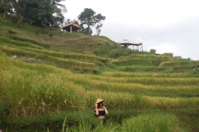 Experience Full Day to Bali Swing Temple and Monkey Forest - Craft-village stops and Batuan Temple: culture in between the thrills