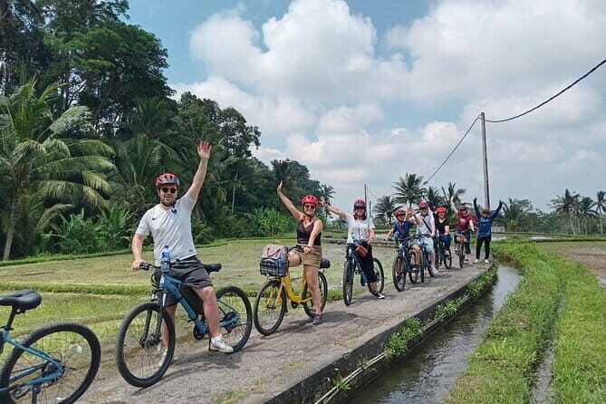 Explore Rice Fields and Hidden Villages with Ubud E-Bike Tour - Key highlights you should know