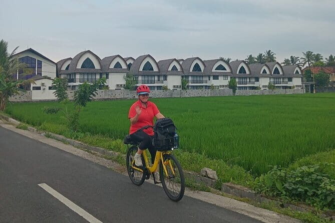 Explore Rice Fields and Hidden Villages with Ubud E-Bike Tour - Why an e-bike tour makes Ubud feel doable