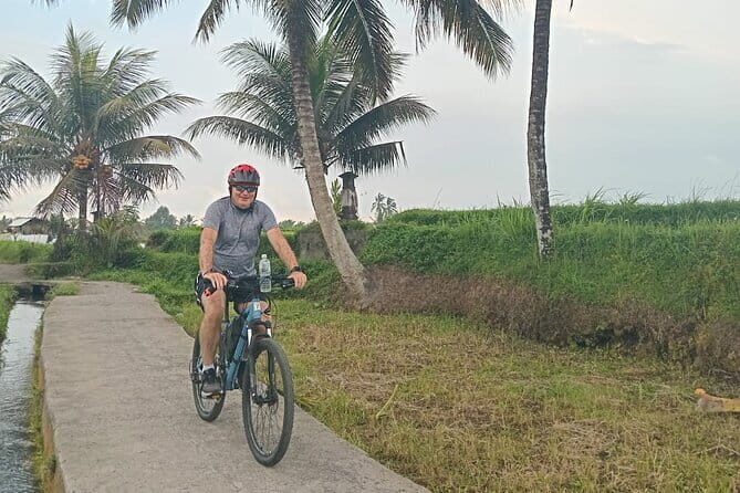 Explore Rice Fields and Hidden Villages with Ubud E-Bike Tour - The guide experience: Raika, photos, and staying comfortable