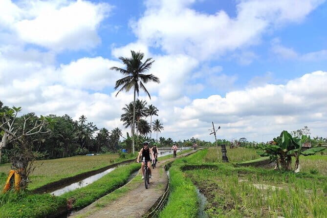 Explore Rice Fields and Hidden Villages with Ubud E-Bike Tour - Who this e-bike tour is best for