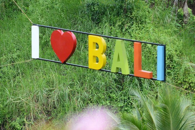 Famous Ubud villlage and Dance Tour with Rice Terrace And Waterfall Visit - Tegalalang rice terraces: the famous view, with real time to enjoy it