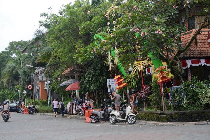 Famous Ubud villlage and Dance Tour with Rice Terrace And Waterfall Visit - Price and logistics: is $49.85 good value?