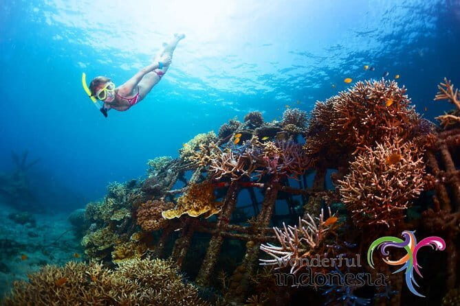 Fly Board Experience in Bali - What’s included vs not included (so you can plan meals)