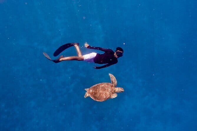 From Gili Trawangan & Gili Air Snorkeling Trip Sharing & Private - Stop 3: Gili Trawangan for Coral and Statue-Like Underwater Features