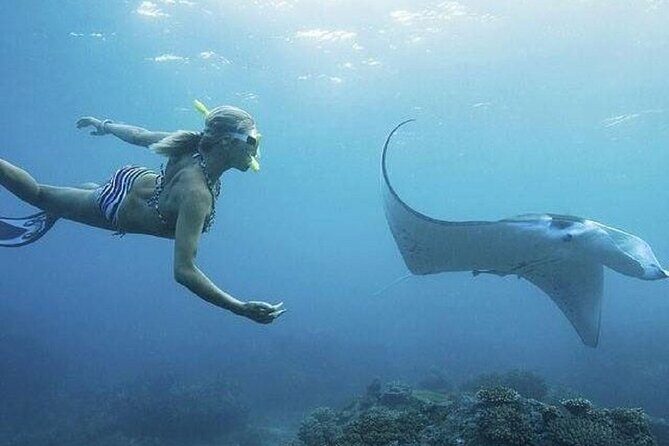 From Lembongan: Snorkeling Day Trip to Nusa Lembongan & nusa Penida island - Key Highlights You’ll Care About