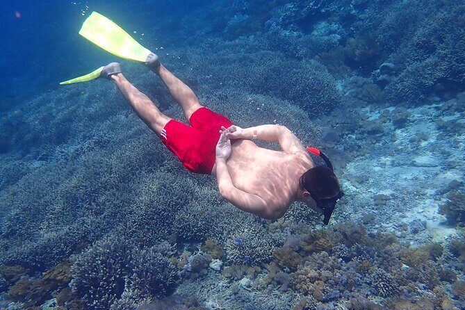From Lembongan: Snorkeling Day Trip to Nusa Lembongan & nusa Penida island - Price and What It Really Includes for $42