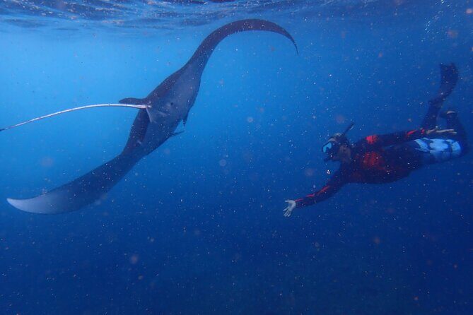 From Lembongan: Snorkeling Day Trip to Nusa Lembongan & nusa Penida island - Getting There: Pickup Times, Shuttle Coverage, and How It Flows