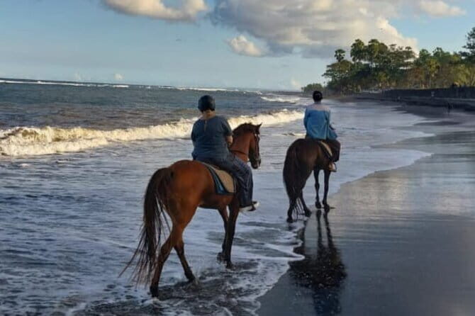 From Ubud 1 Hour Horse Riding at The Beach Experiences - The overall experience at Saba Beach: calm adventure