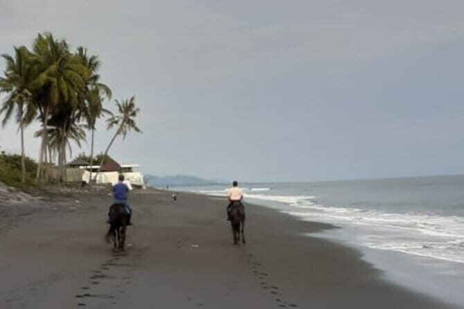 From Ubud 1 Hour Horse Riding at The Beach Experiences - Saba Beach: what the ride feels like once you’re on the sand