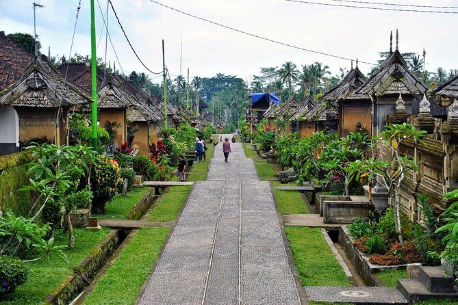 Full Day Batur Volcano and Besakih Temple Tour - Penglipuran Village: culture you can see in the street layout