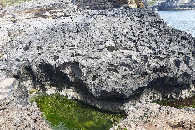 Full-Day Nusa Penida Island Private Tour with Local Guide - Price and Value for an $100 Full-Day Fast-Boat Tour