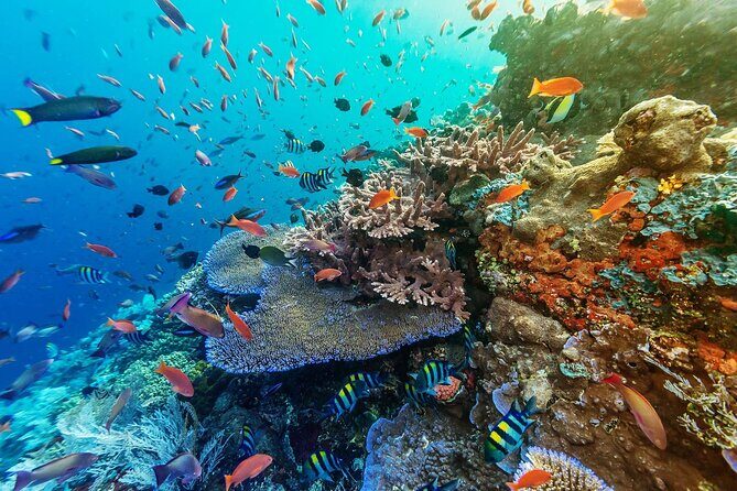 Full-Day Nusa Penida Snorkeling Adventure from Bali - Angel’s Billabong: The Natural Pool Moment