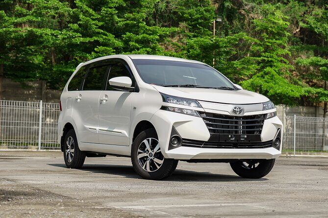 Full-Day Private Car Charter in Bali with Local Guide - Why a private car charter in Ubud feels different