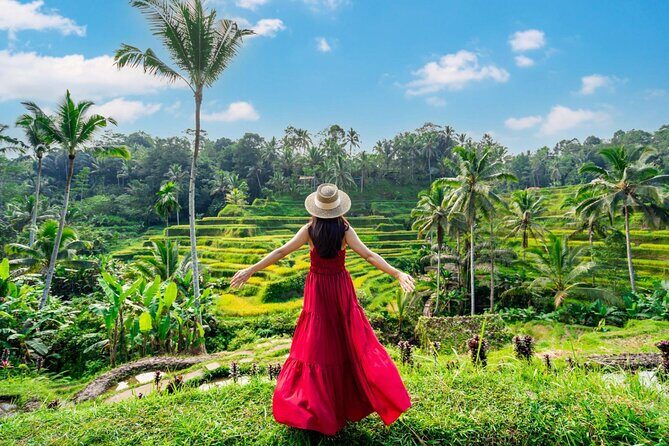 Full-Day Private Car Charter in Bali with Local Guide - Price and logistics: what $33.60 covers (and what it doesn’t)