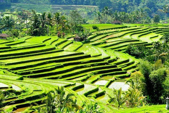 Full-Day Private Cultural Bali Tour + Balinese Driver - Lempuyang, Tirta Gangga, and Ujung Water Palace: Late-Day Temples and Pools