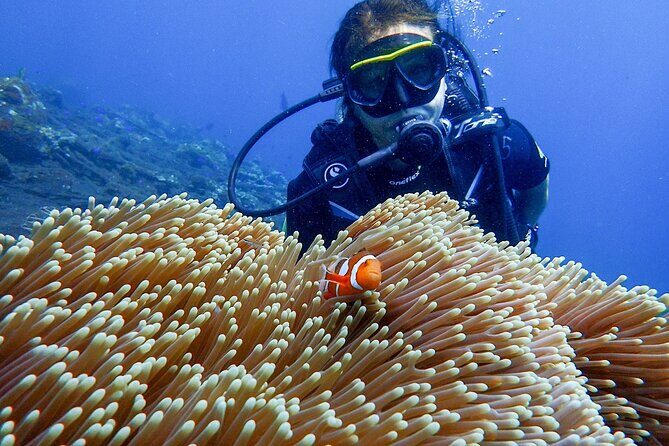 Full-Day Scuba Diving Experience of USAT Liberty in Tulamben - A Long Day to Tulamben’s USAT Liberty Shipwreck